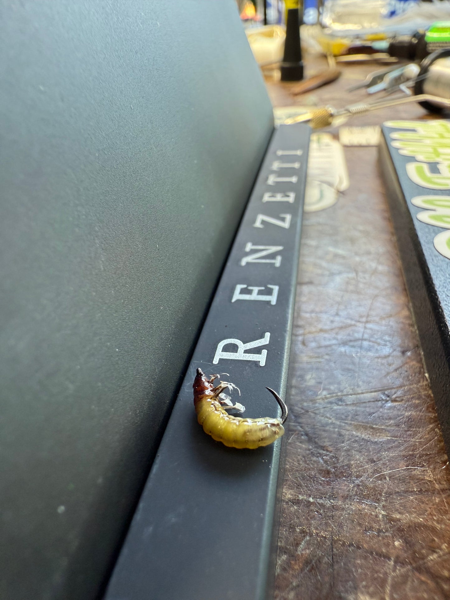 Caddis Larva