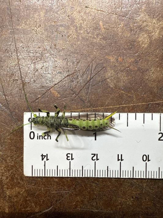 EDB Stonefly