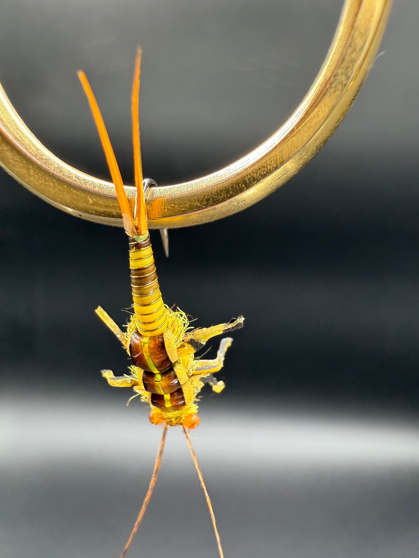 “Golden Stone Nymph” Variant 1