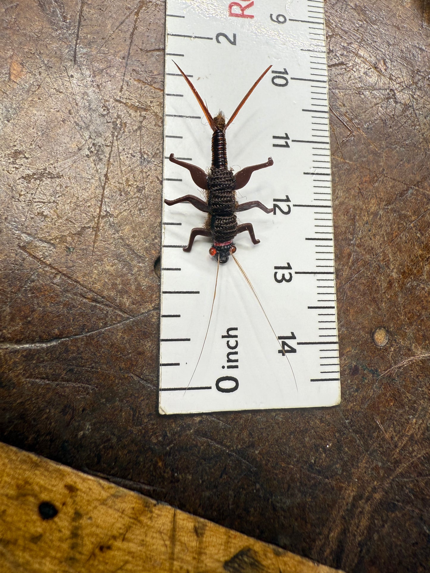 Salmon Fly Nymph/ Brown Variant