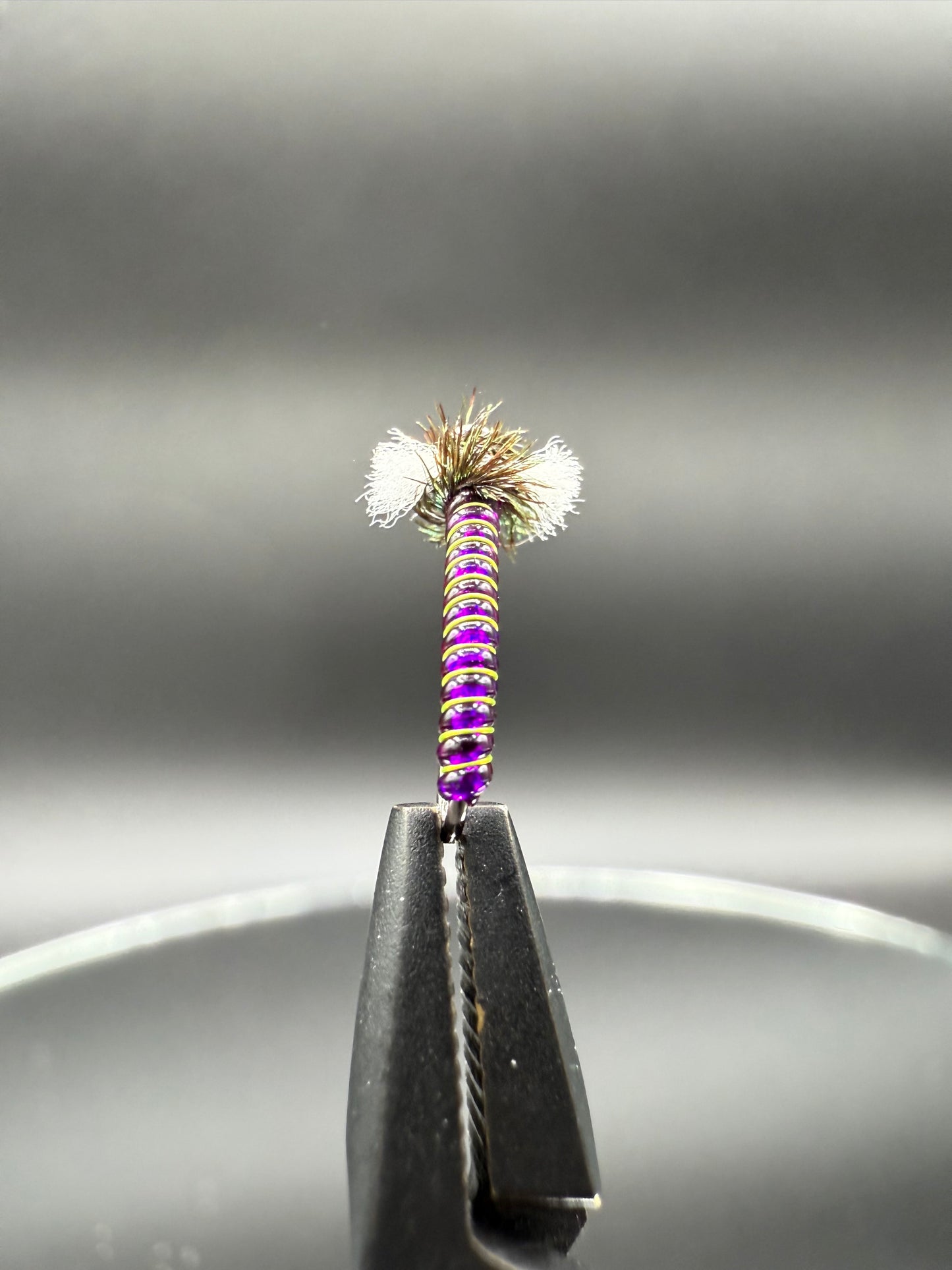 Swannundaze Midge 2.0