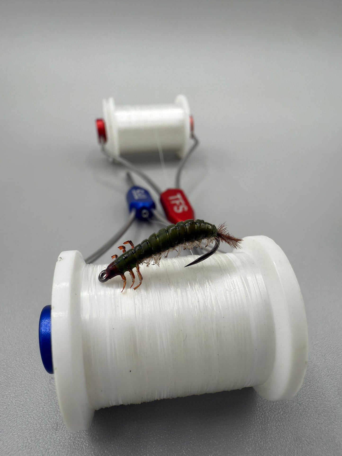 Hydrospyche Caddis Larva