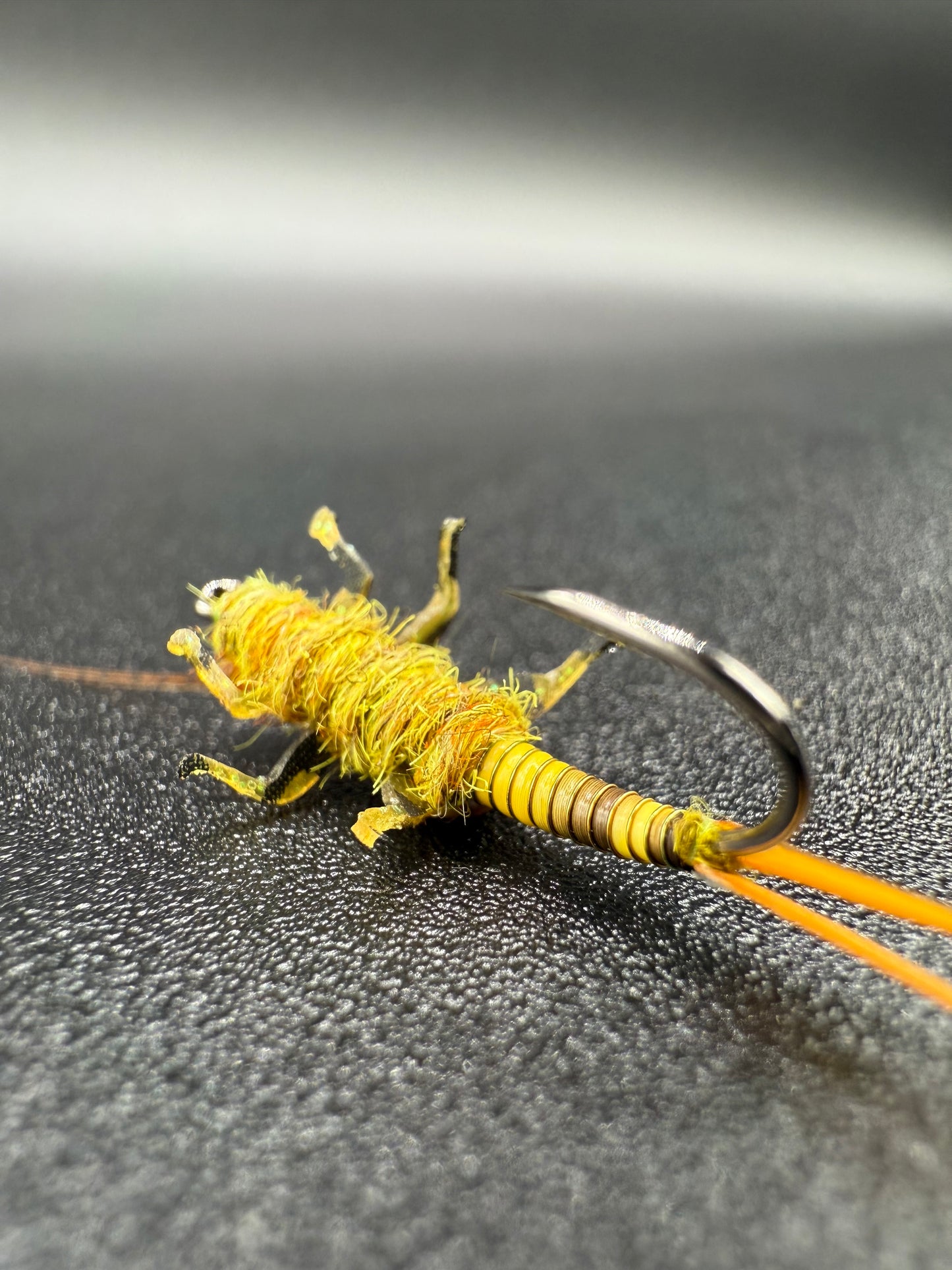 “Golden Stone Nymph” Variant 1