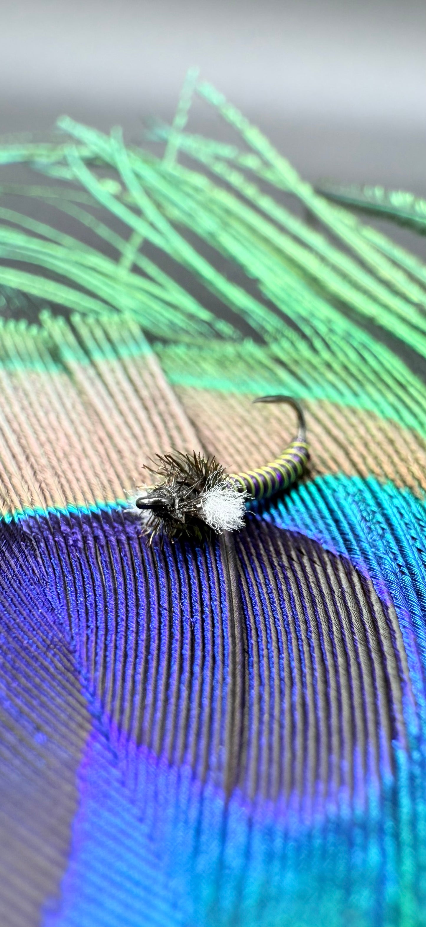 Swannundaze Midge 2.0