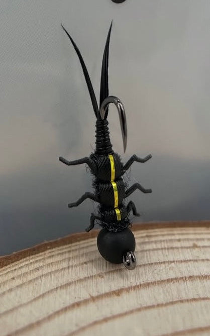 “Dark Knight Nymph”