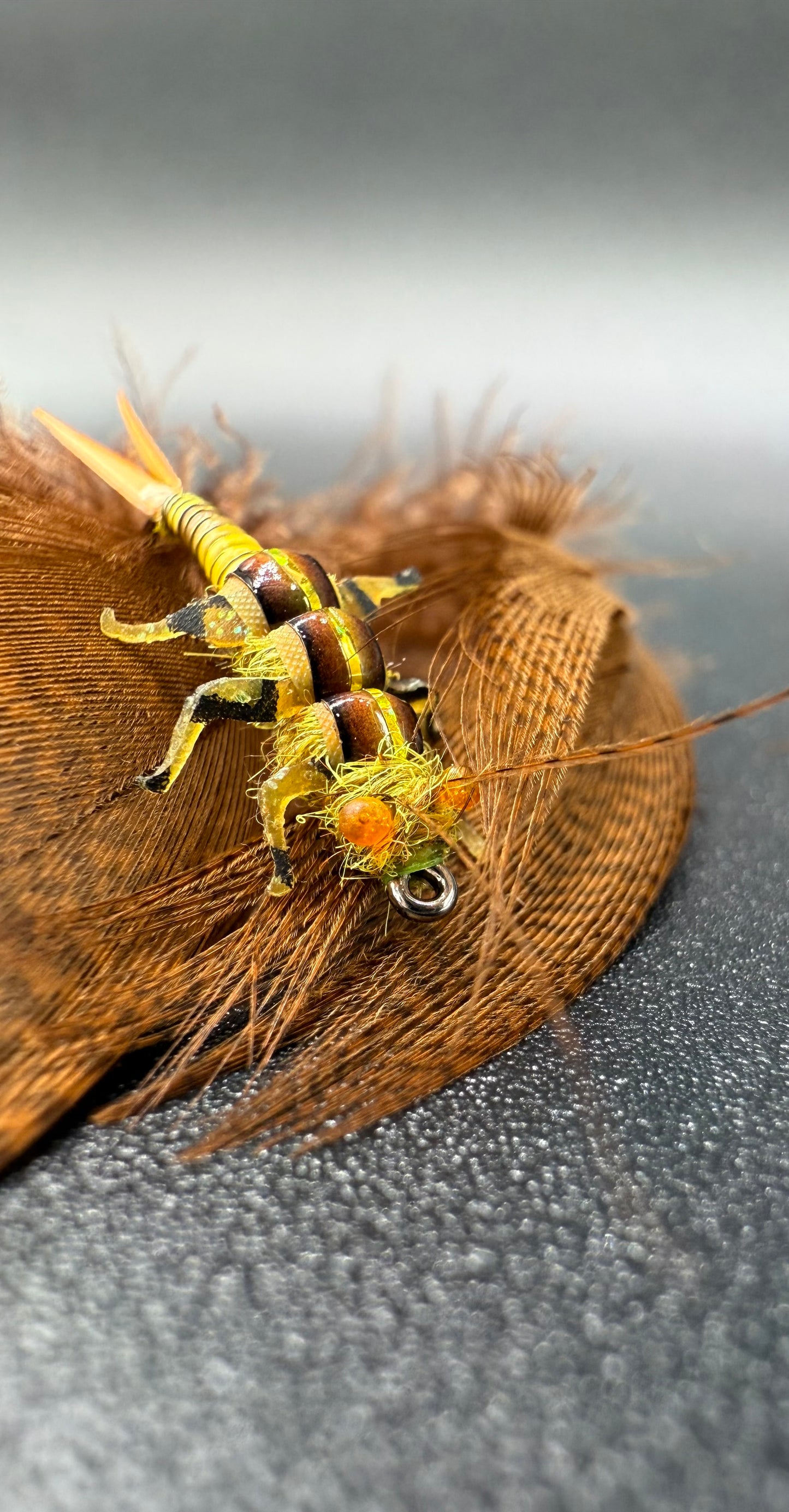 “Golden Stone Nymph” Variant 1