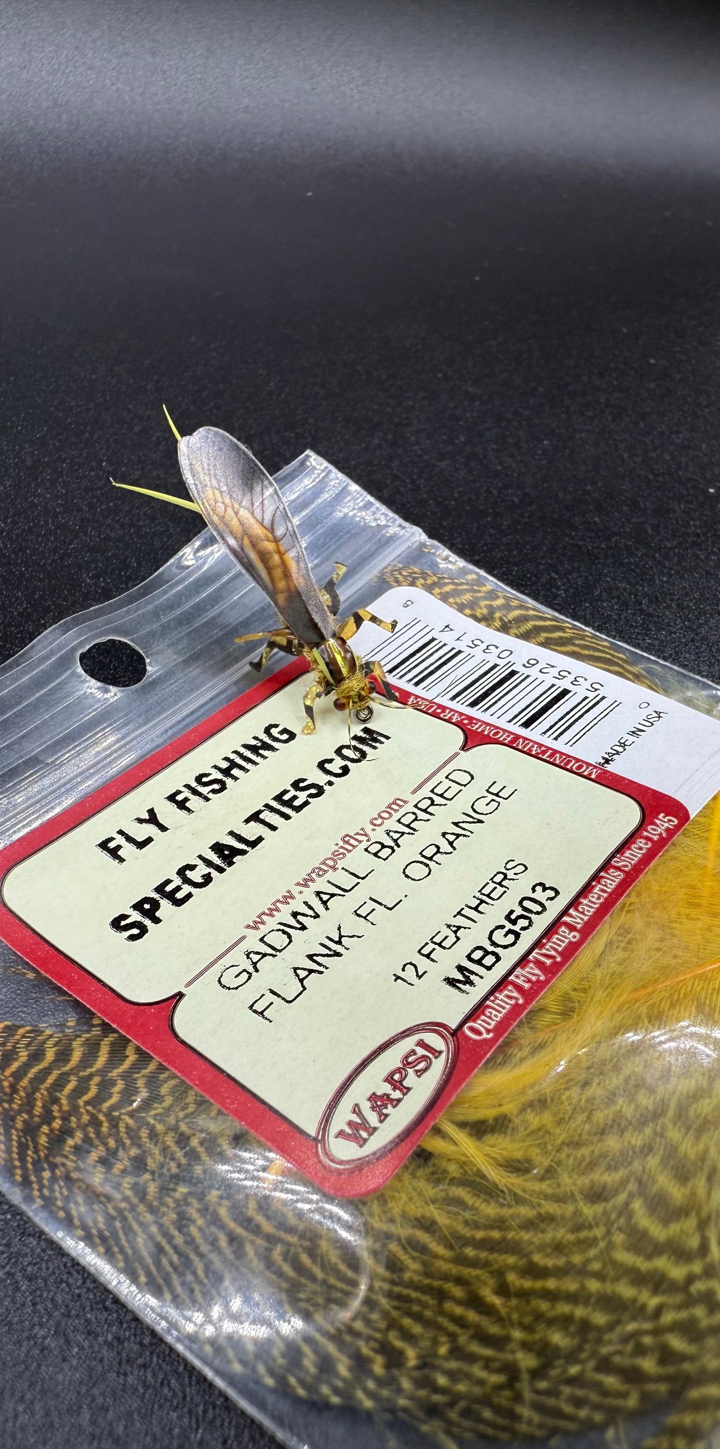 “Yellow Salley Adult”