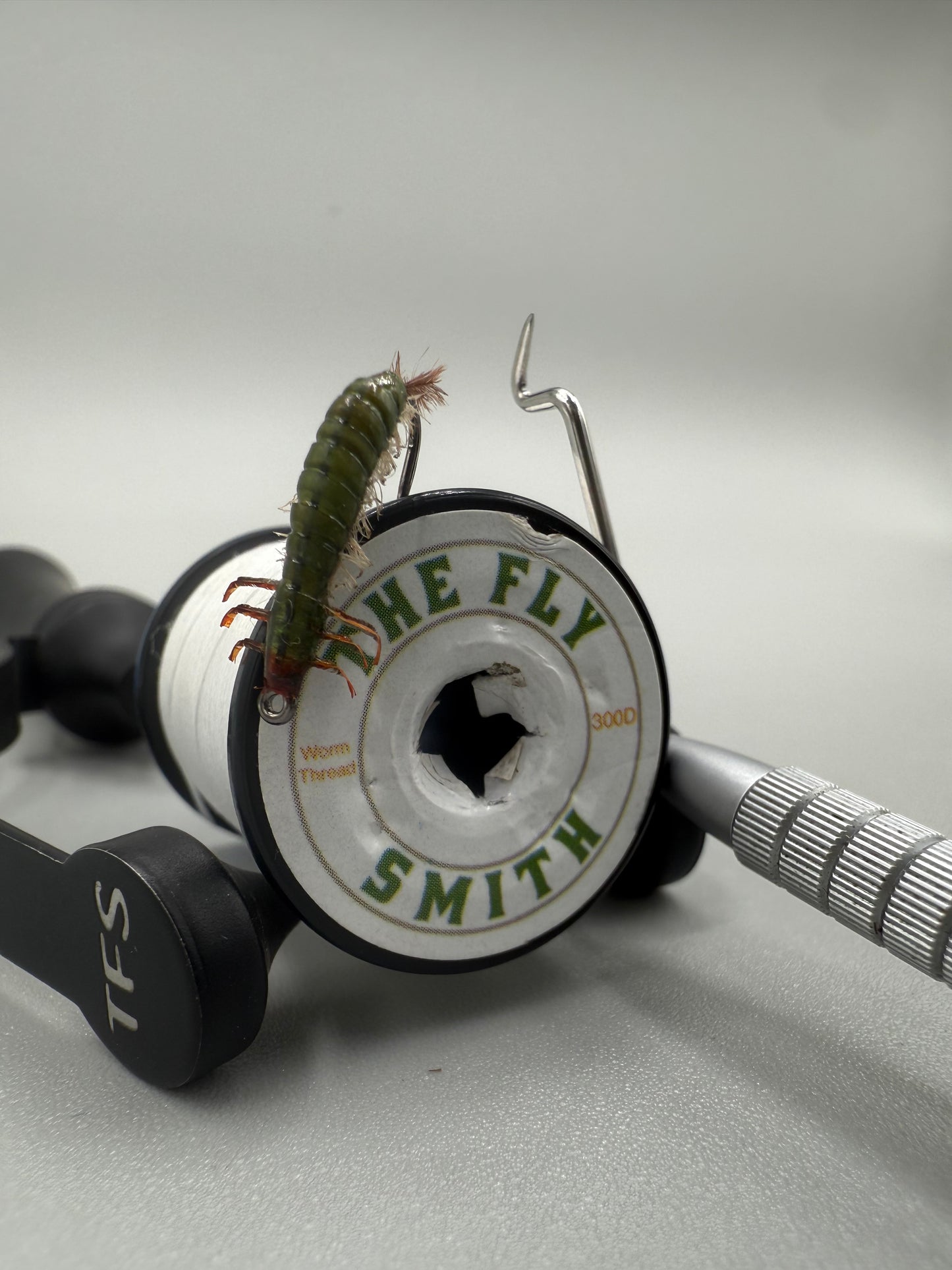 Hydrospyche Caddis Larva