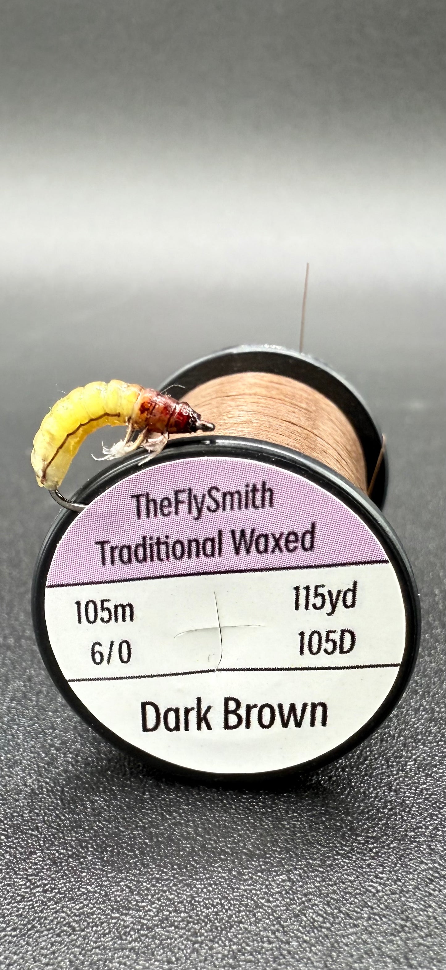 Caddis Larva