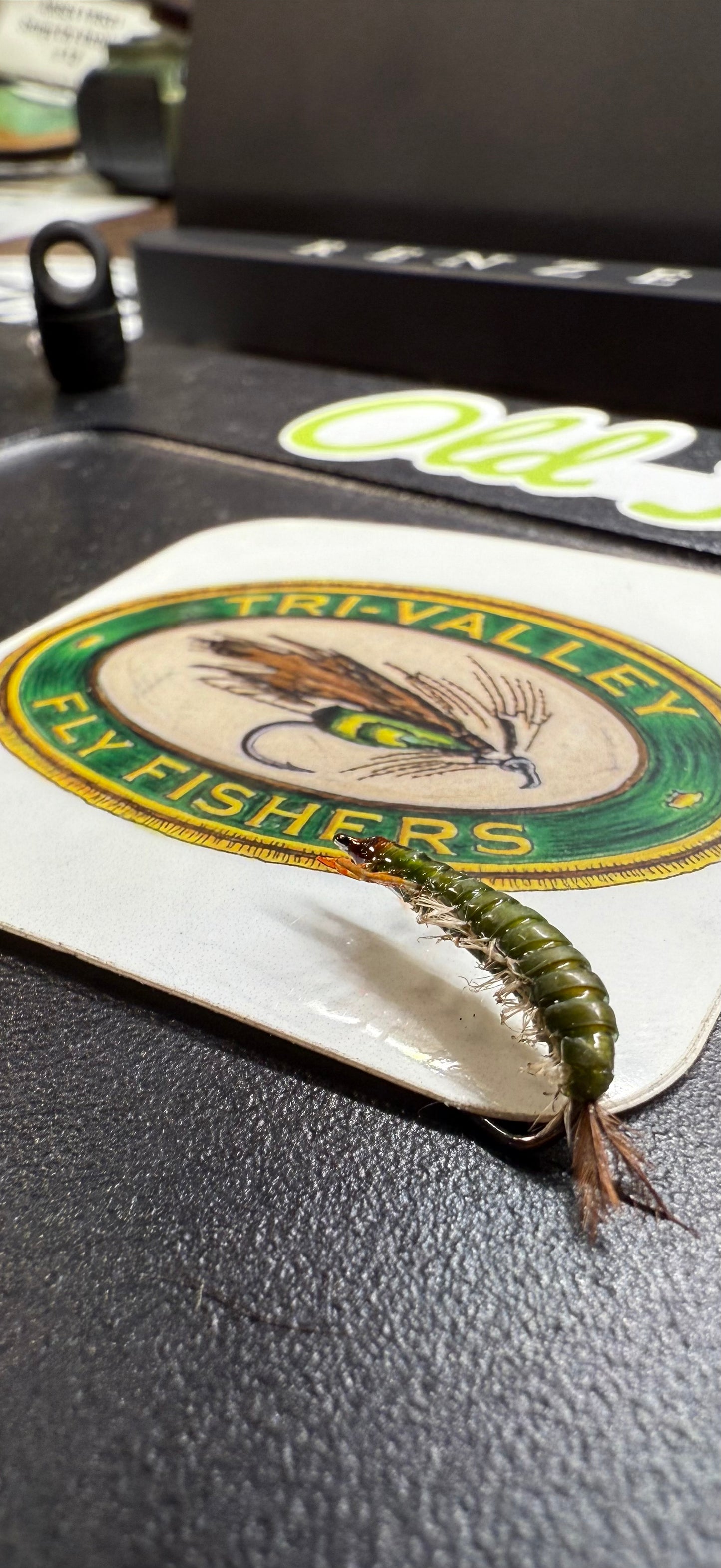 Hydrospyche Caddis Larva