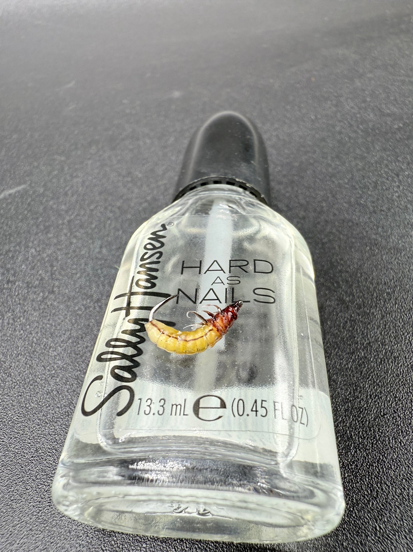 Caddis Larva