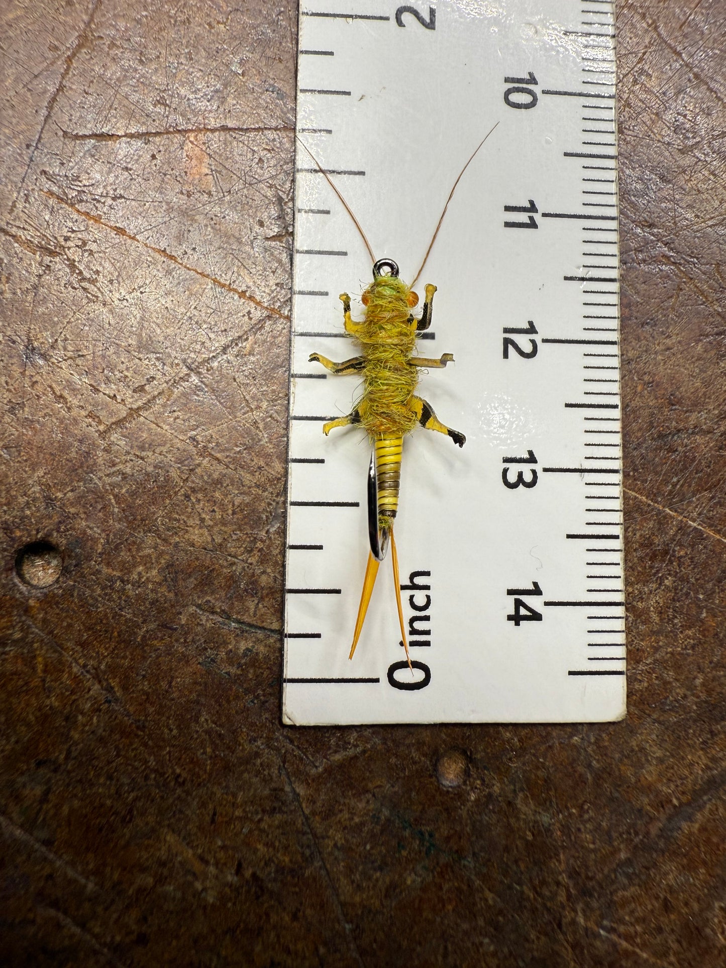“Golden Stone Nymph” Variant 1