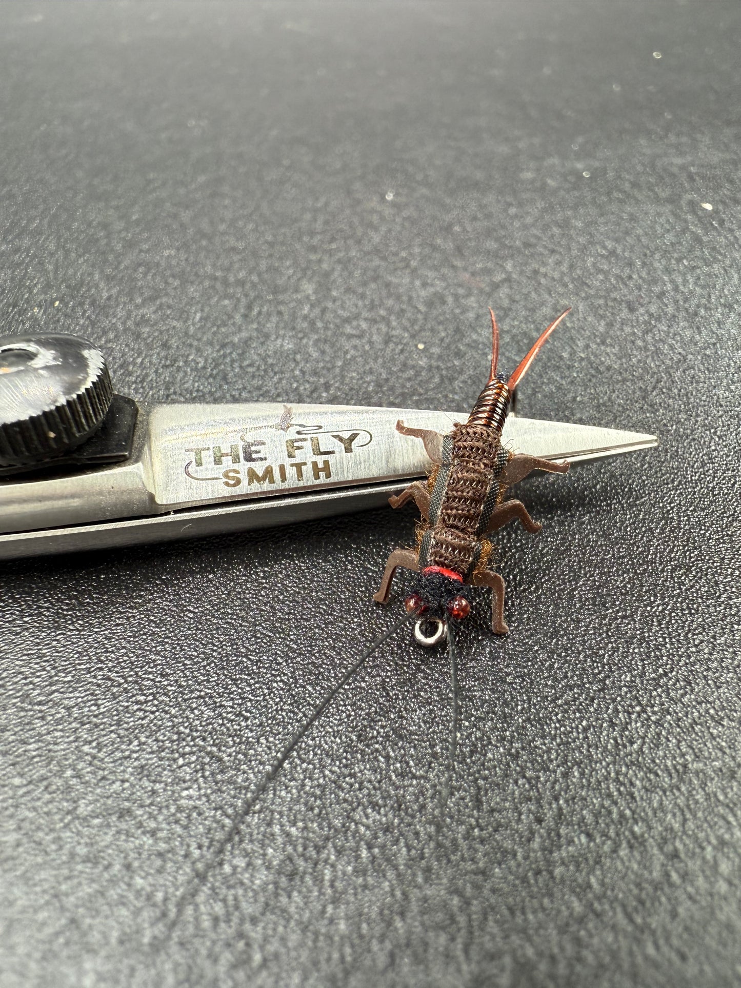 Salmon Fly Nymph/ Brown Variant