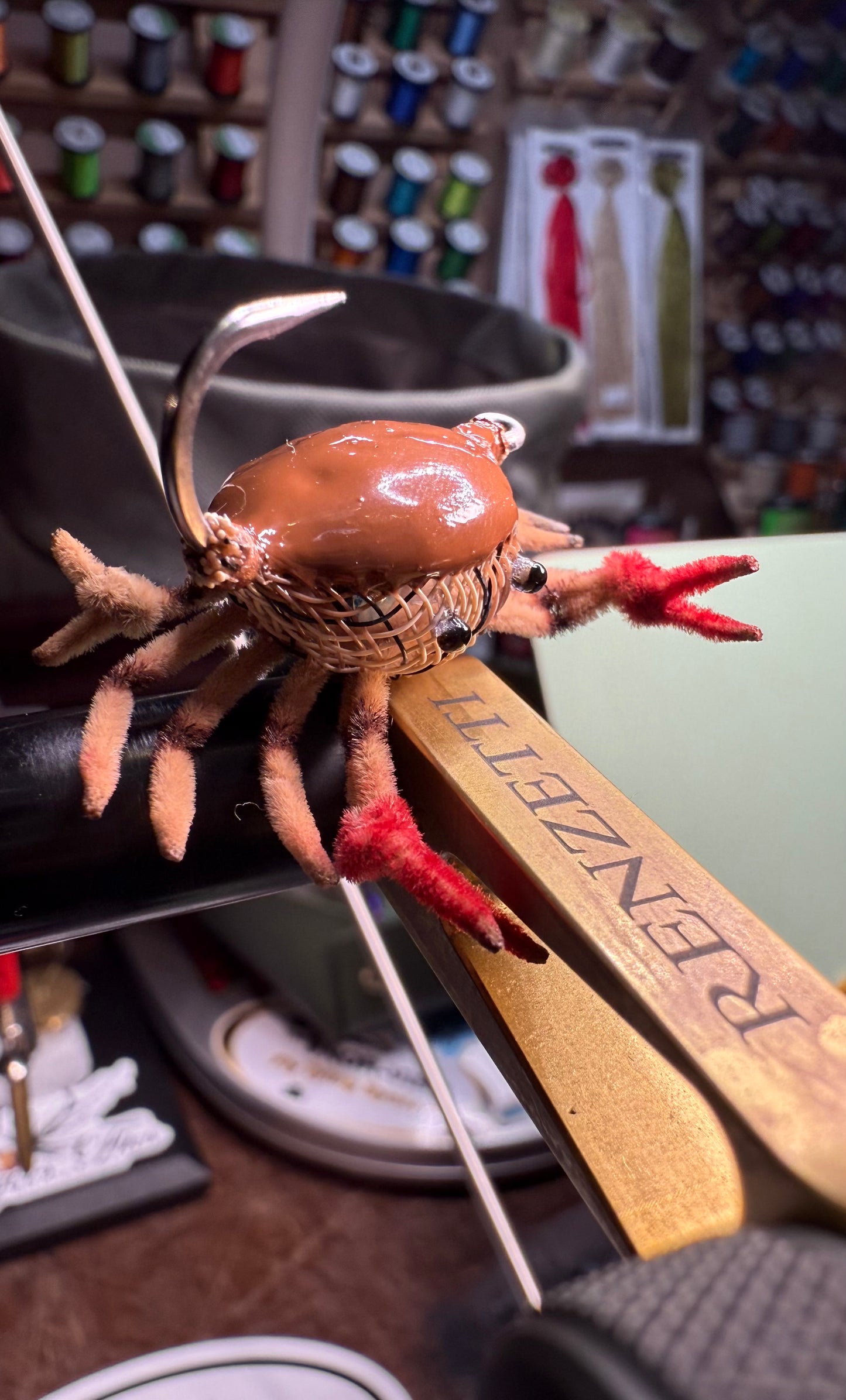 Baby Mud Crab