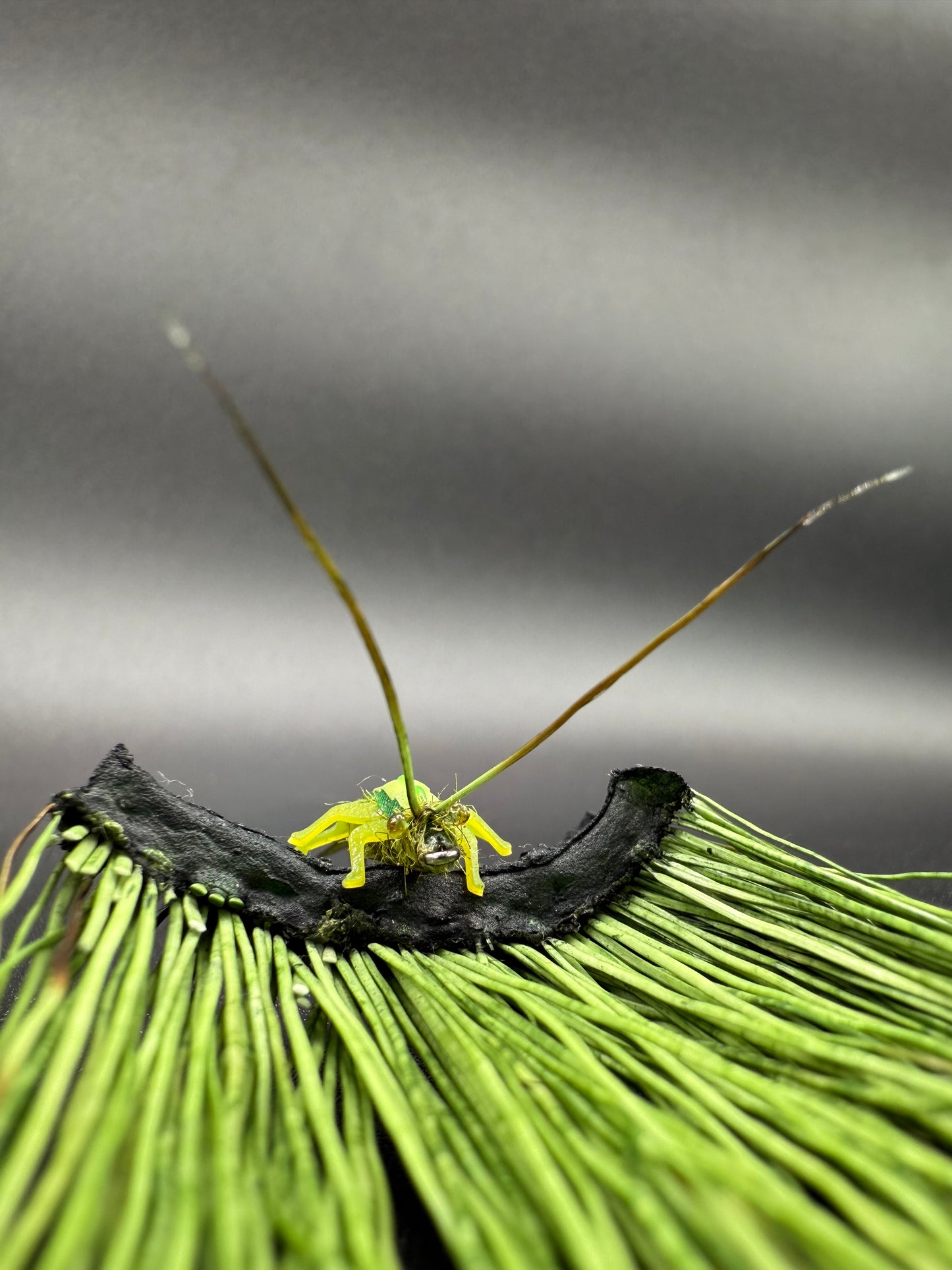 “Skwala Nymph” Variant 1