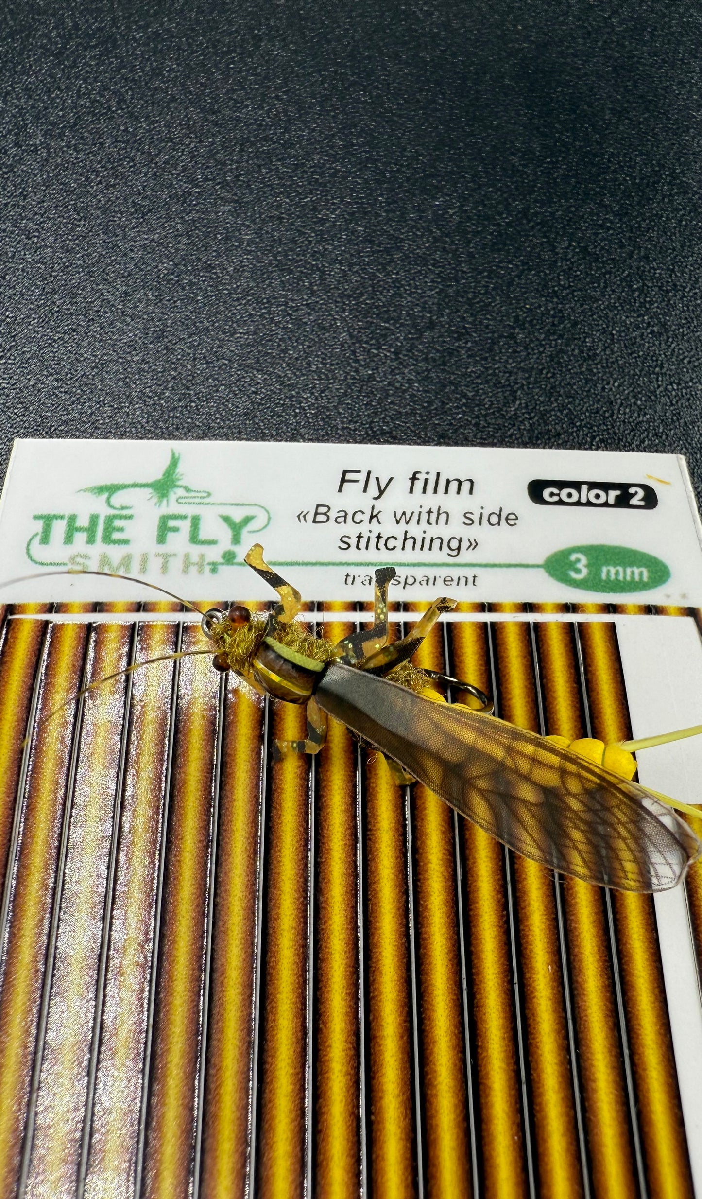 “Yellow Salley Adult”
