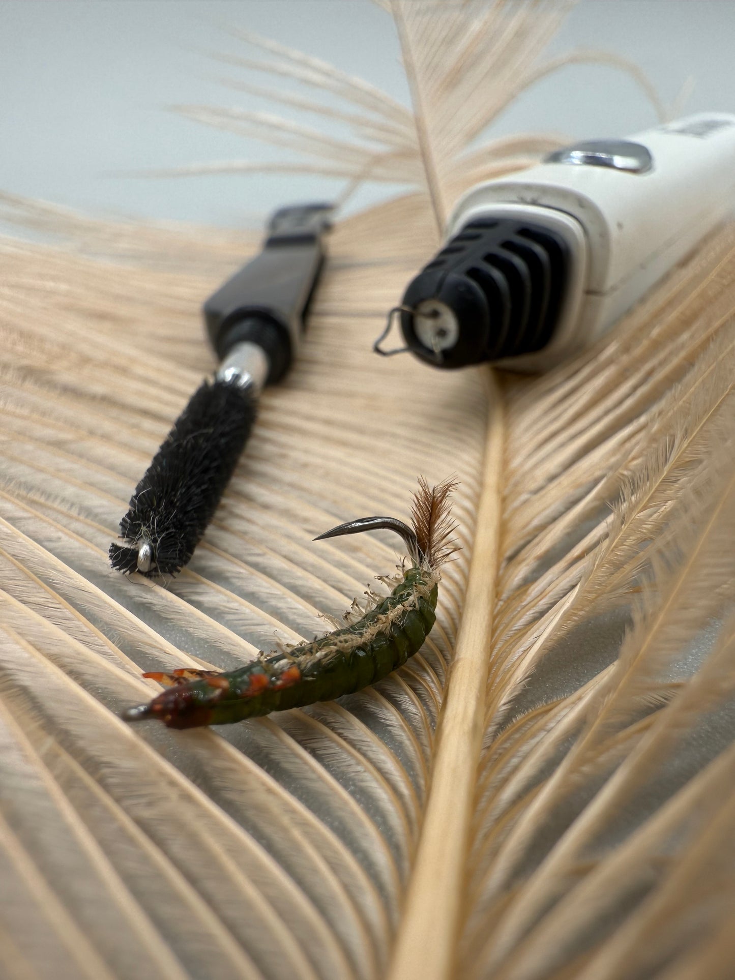 Hydrospyche Caddis Larva