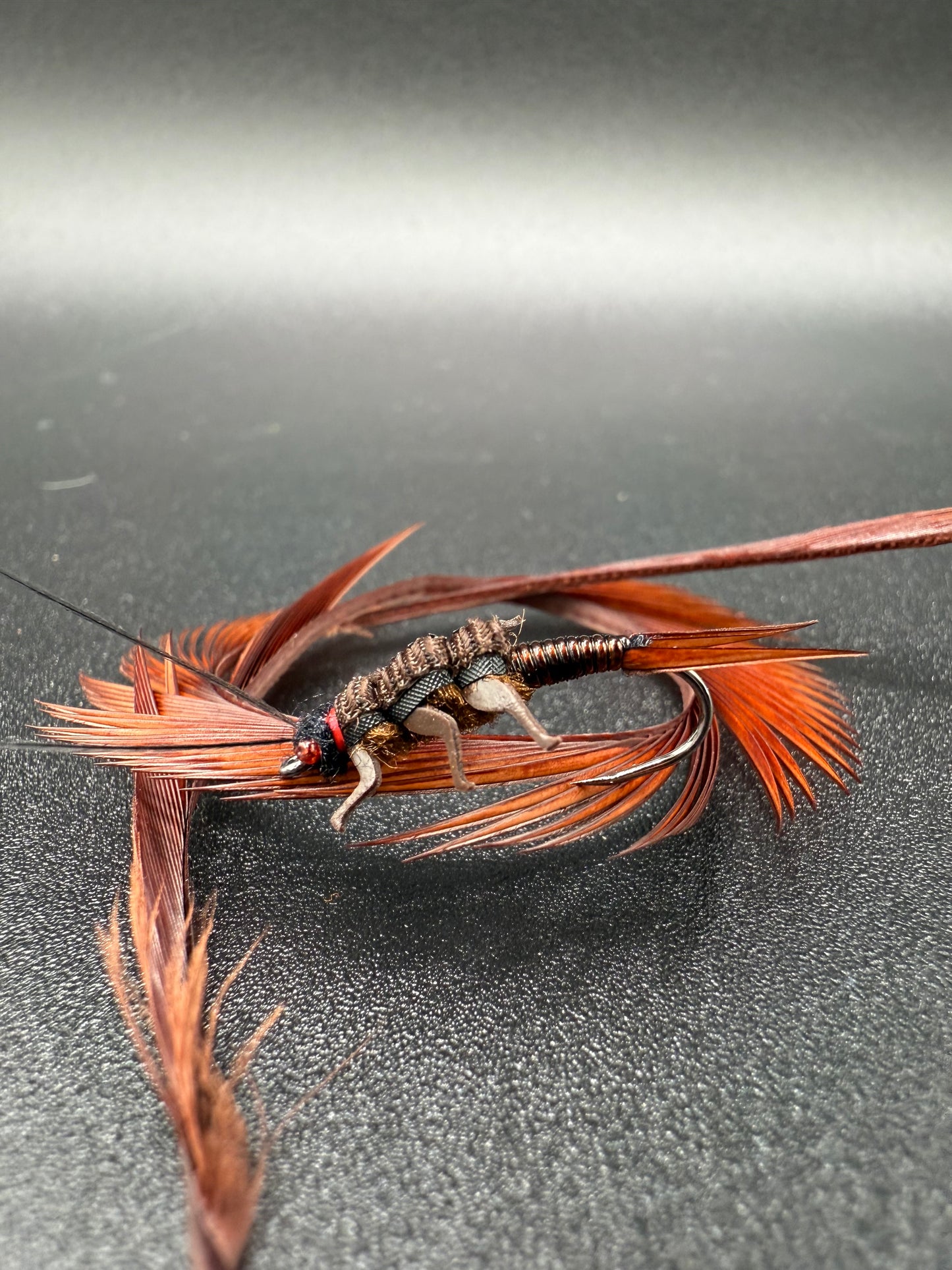 Salmon Fly Nymph/ Brown Variant