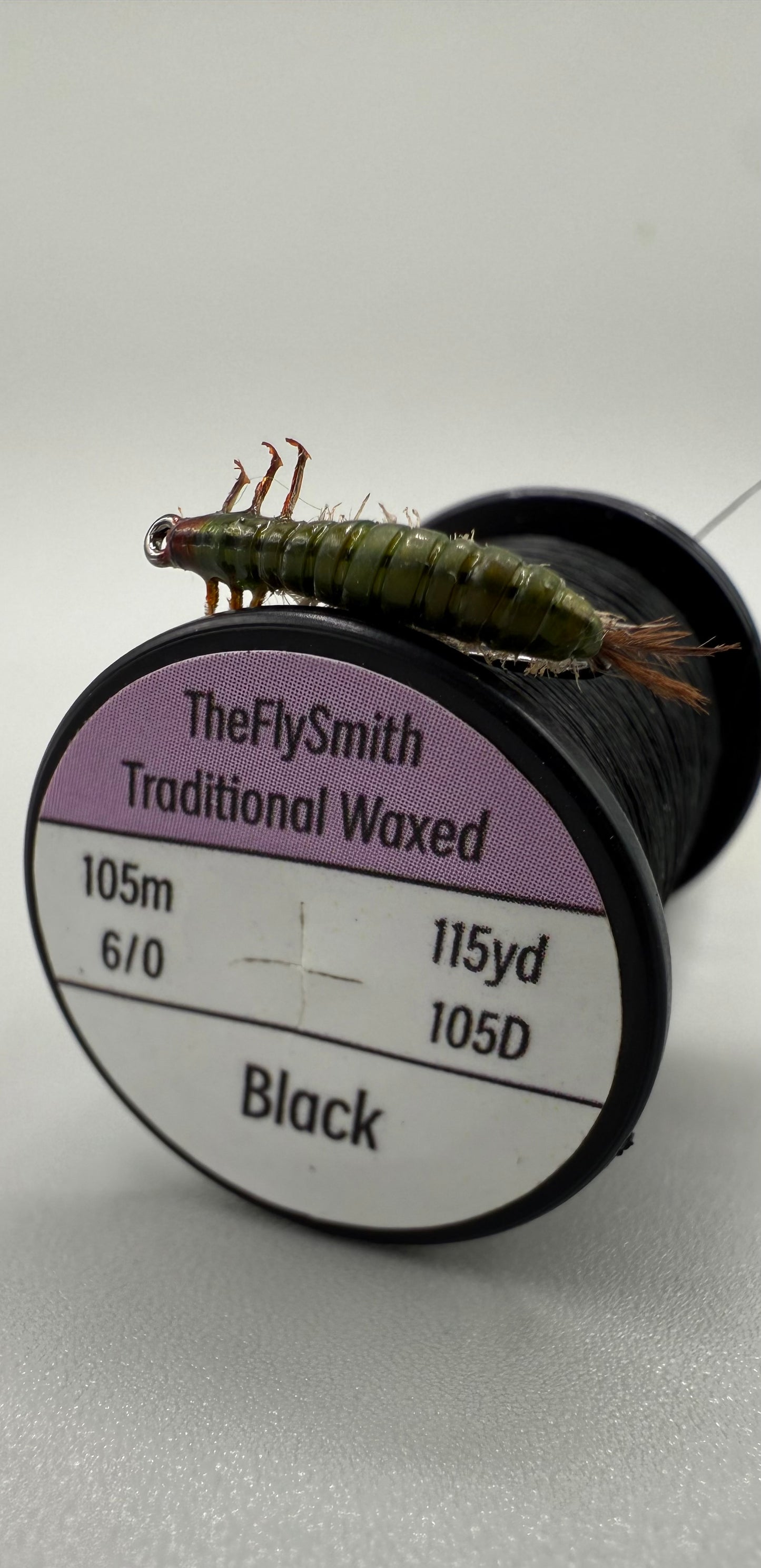 Hydrospyche Caddis Larva