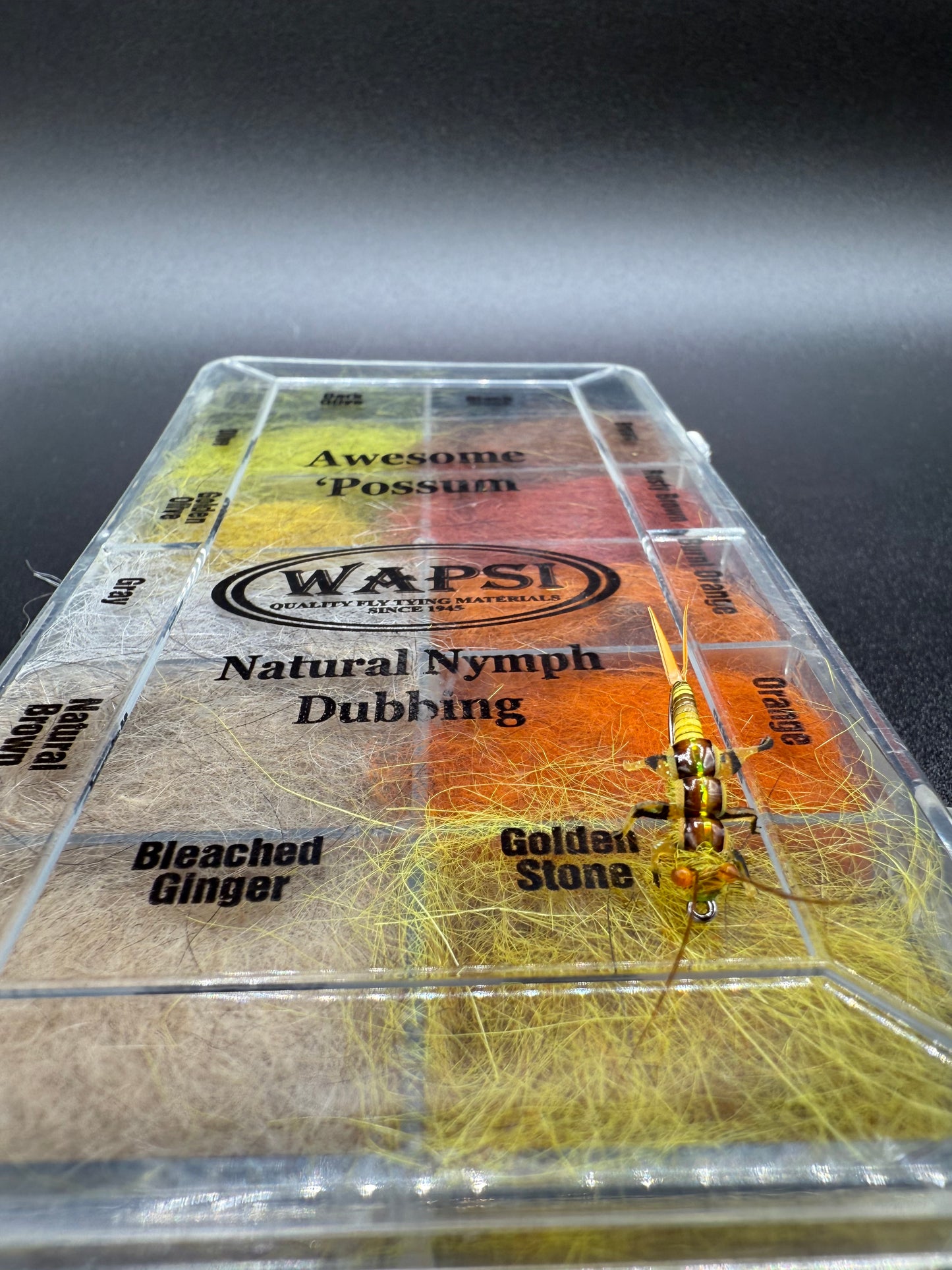 “Golden Stone Nymph” Variant 1