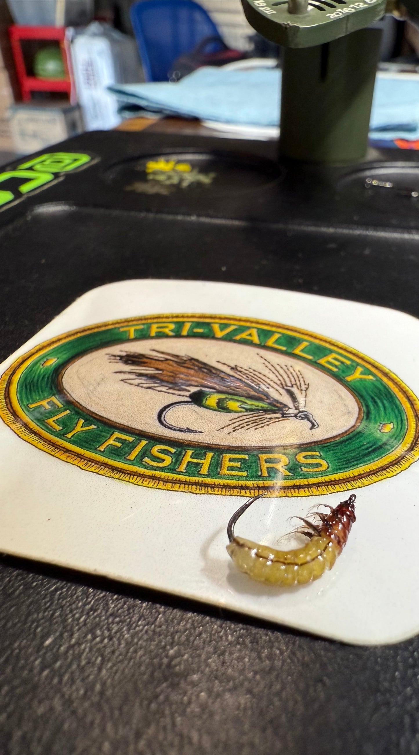 Caddis Larva