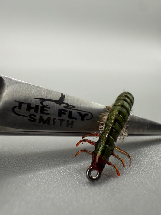 Hydrospyche Caddis Larva