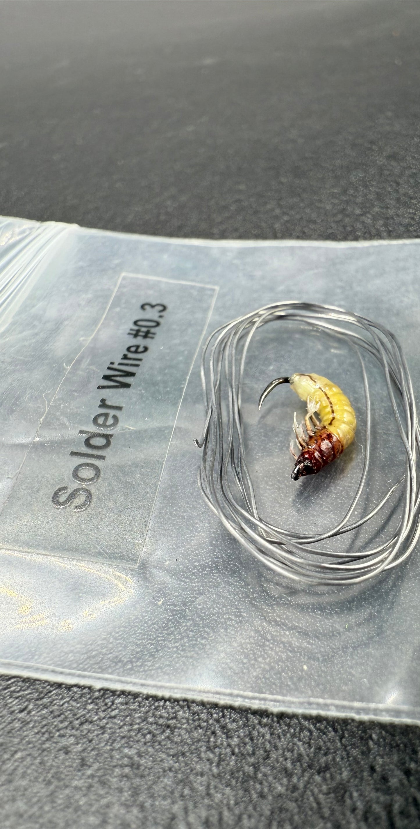 Caddis Larva