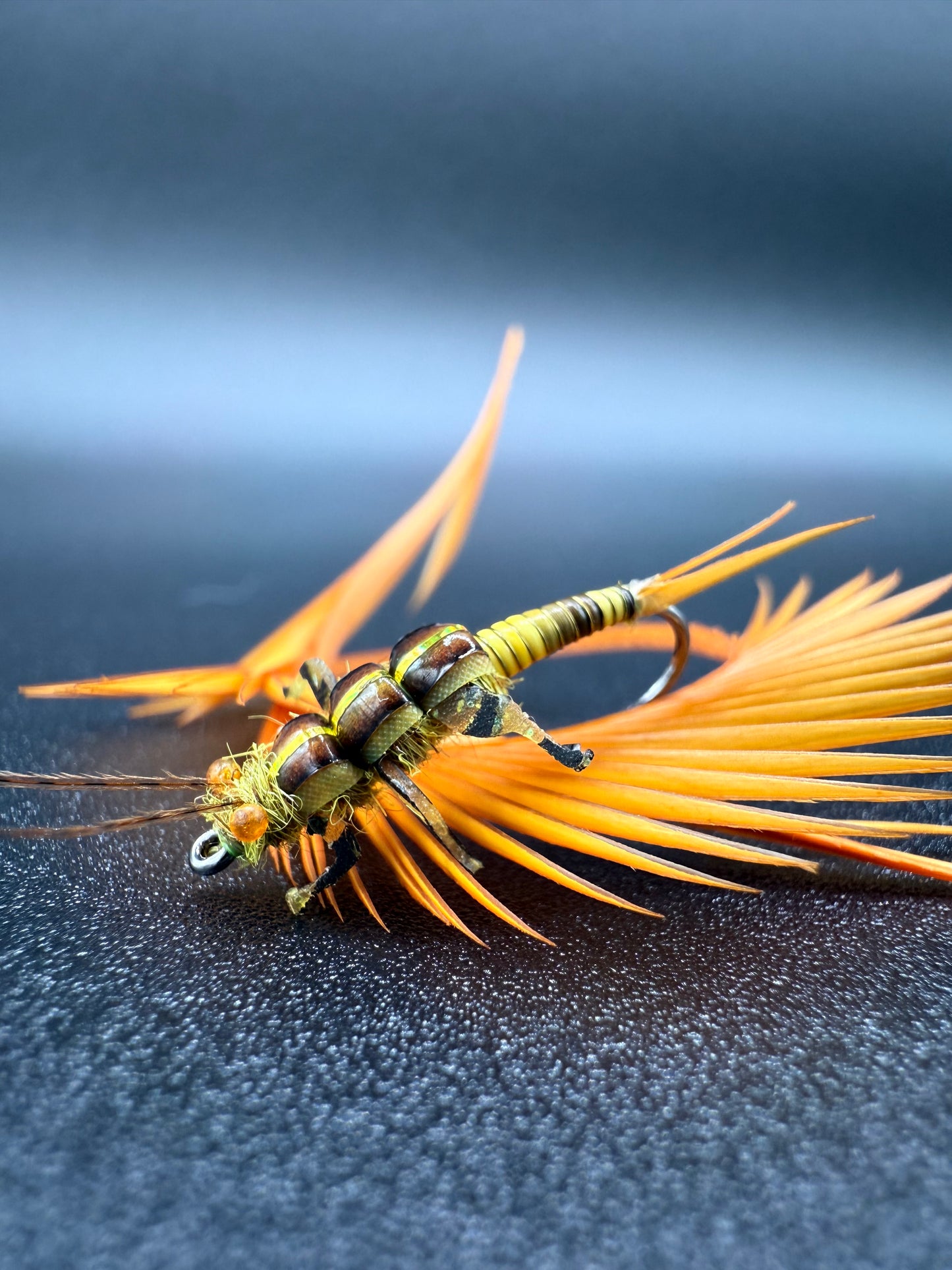 “Golden Stone Nymph” Variant 1