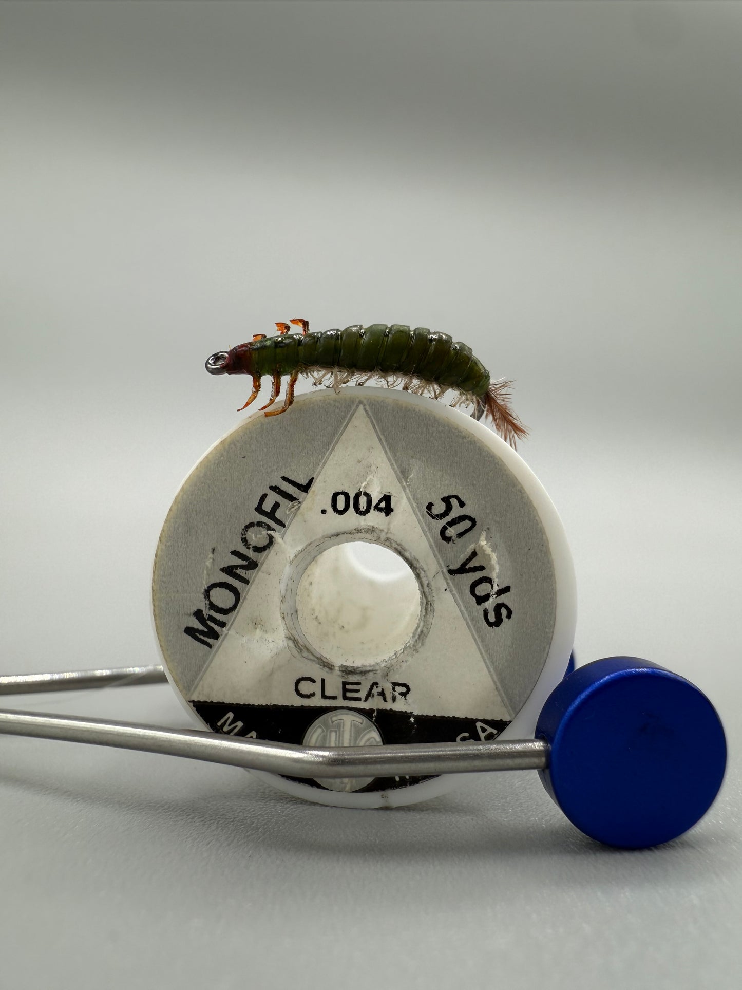Hydrospyche Caddis Larva