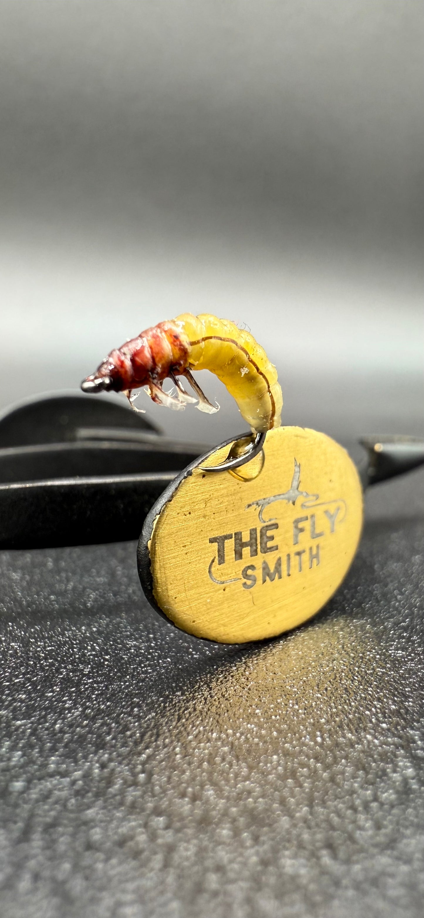 Caddis Larva