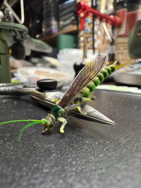 EDB Stonefly