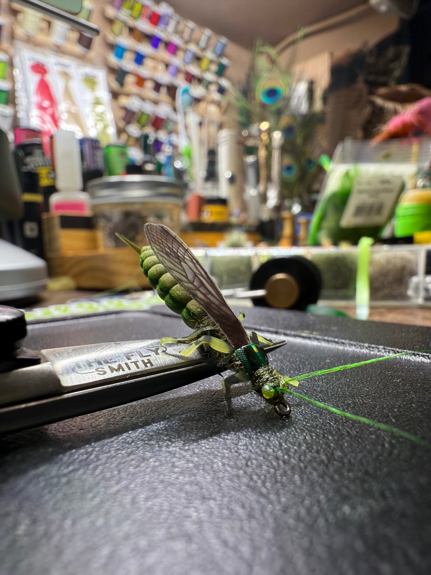 EDB Stonefly