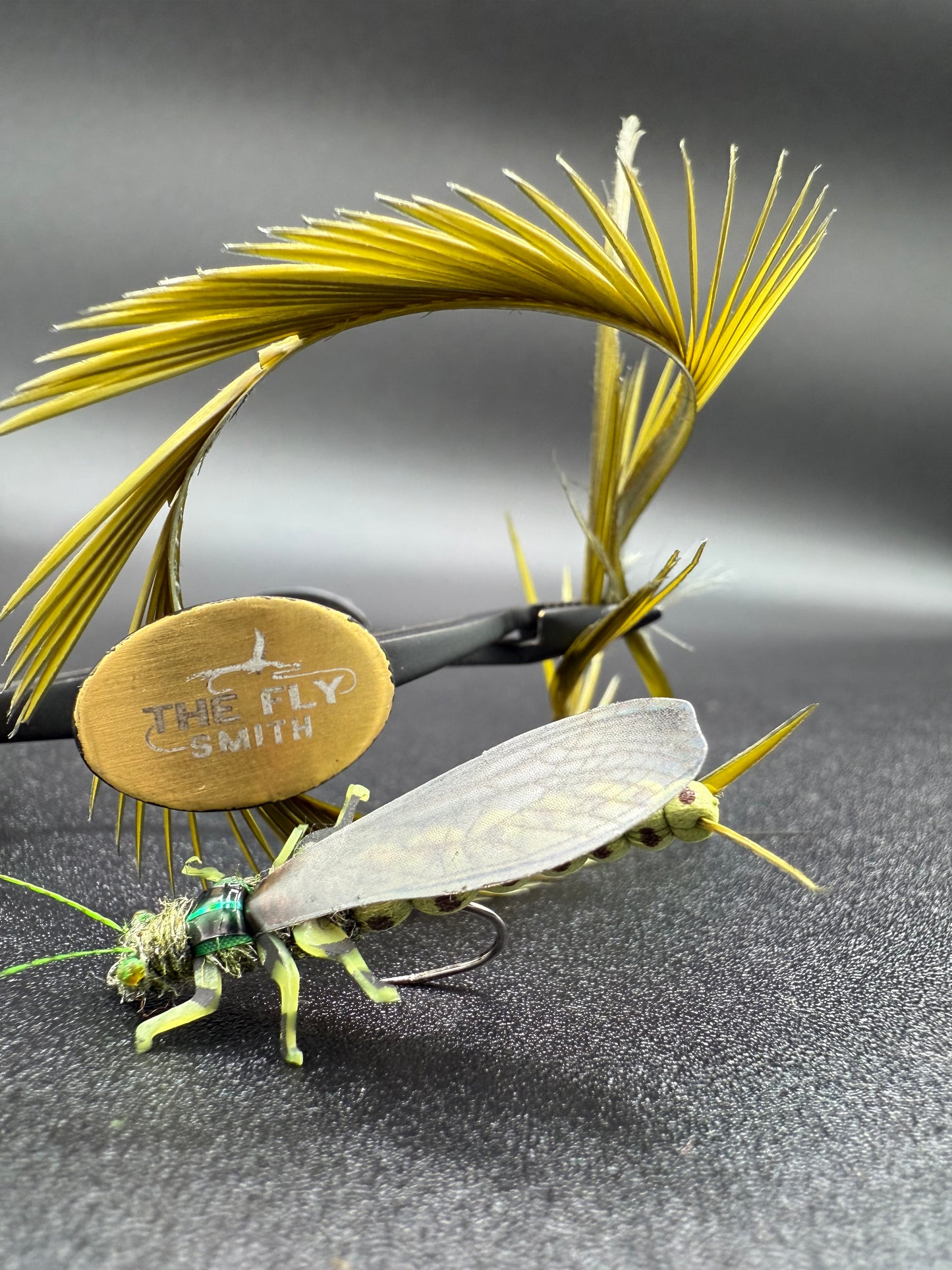 EDB Stonefly