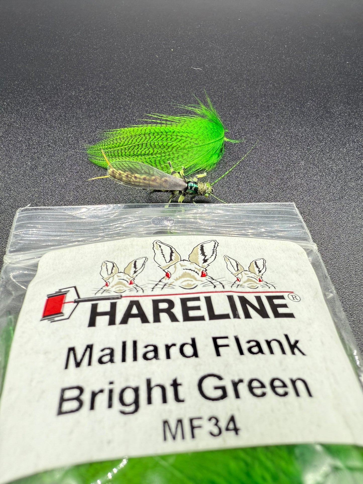 EDB Stonefly