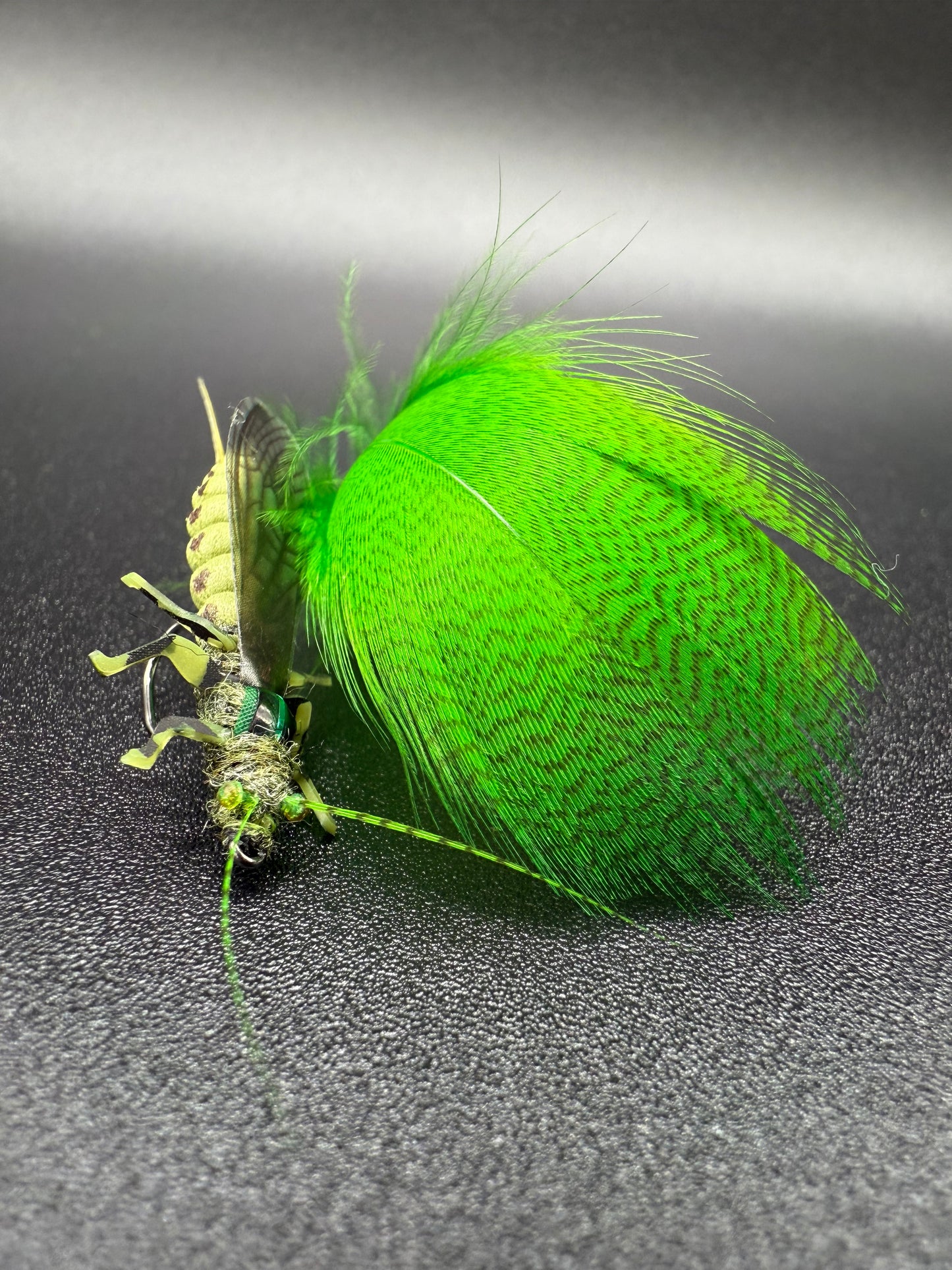 EDB Stonefly