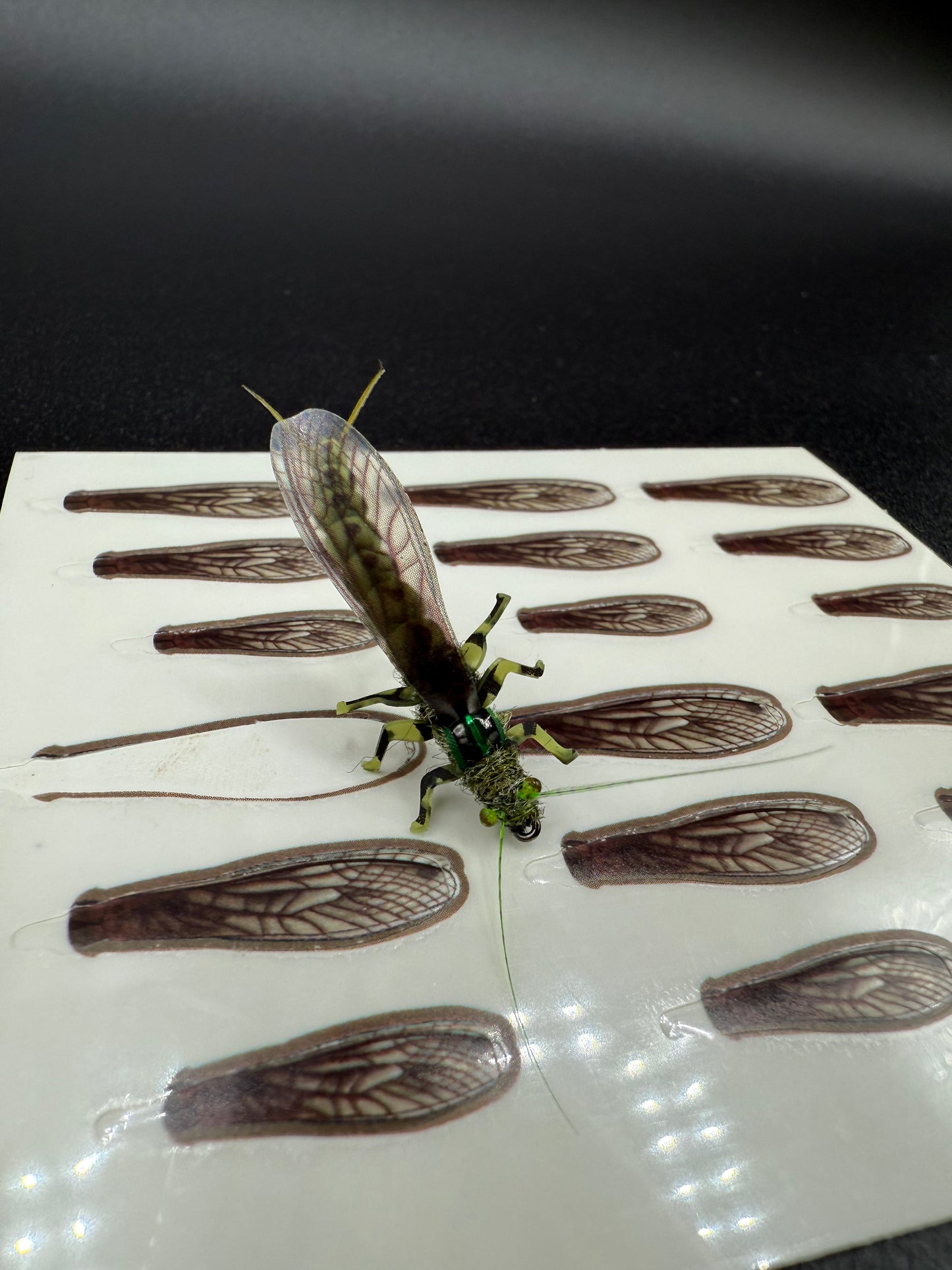 EDB Stonefly