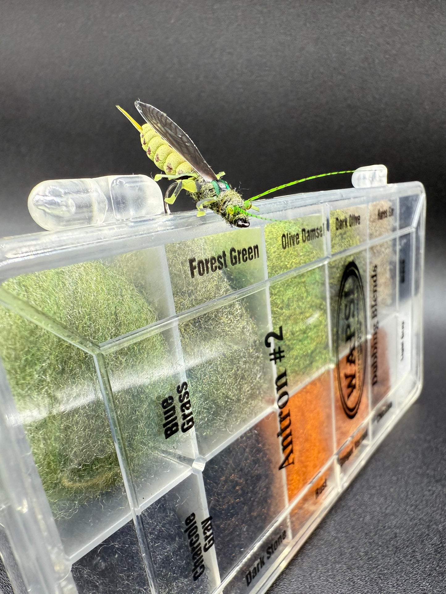 EDB Stonefly