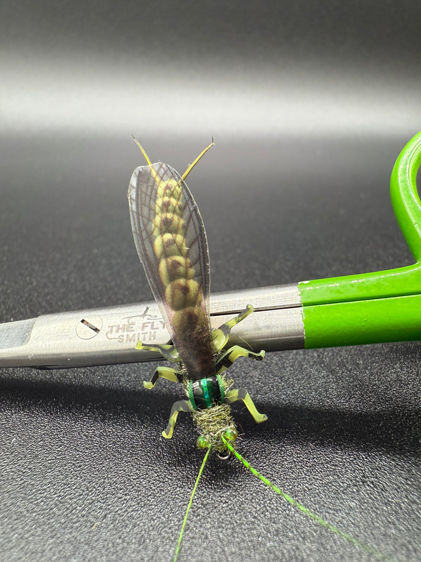 EDB Stonefly