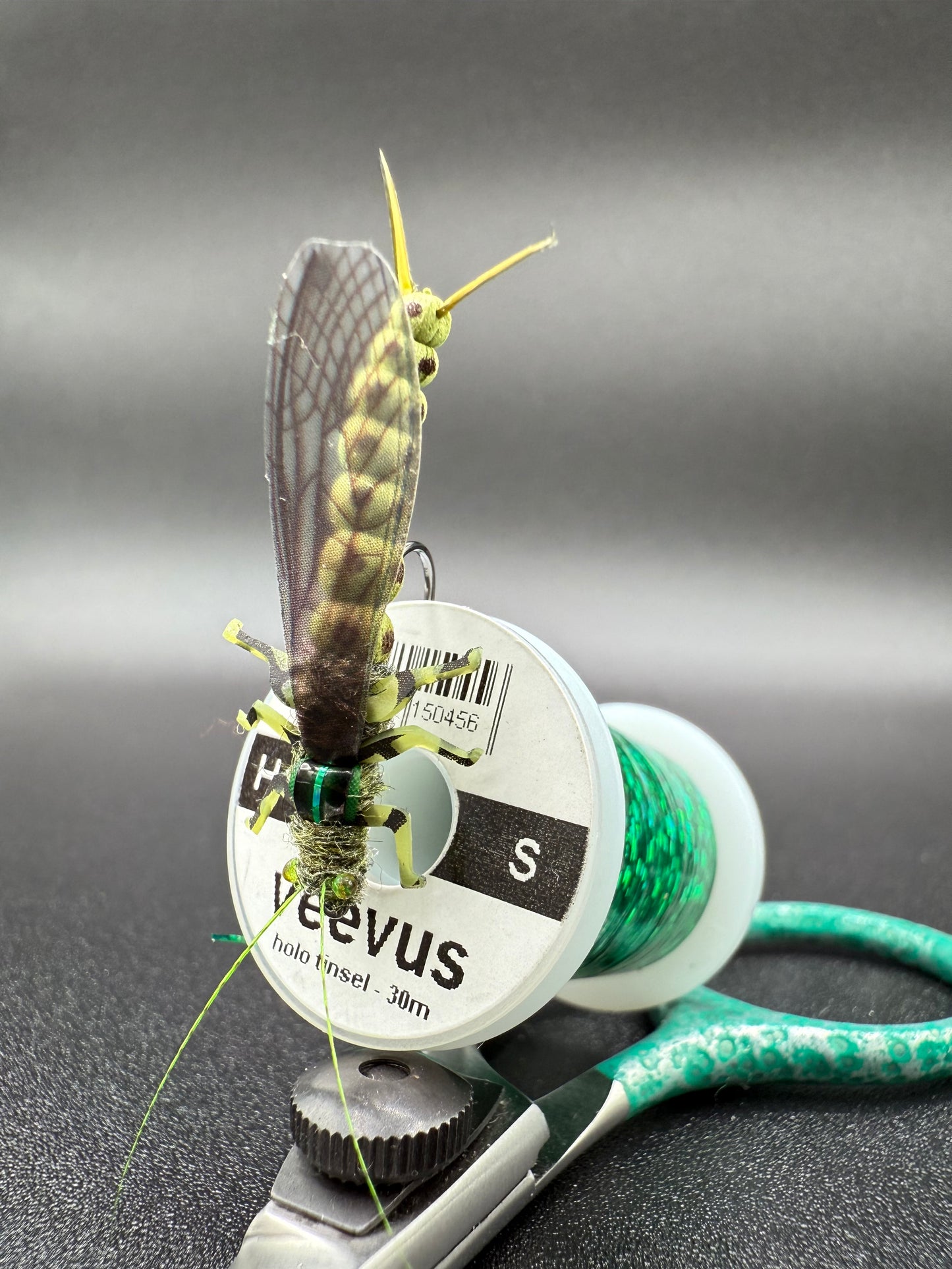 EDB Stonefly